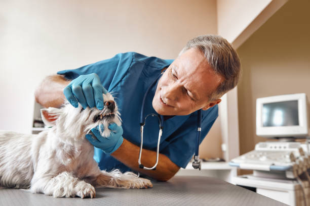 Best Emergency Wisdom Tooth Extraction in Huron, OH